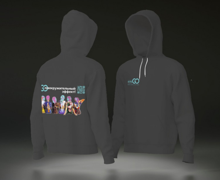 Худи с логотипом Dctr.Go в Ростове